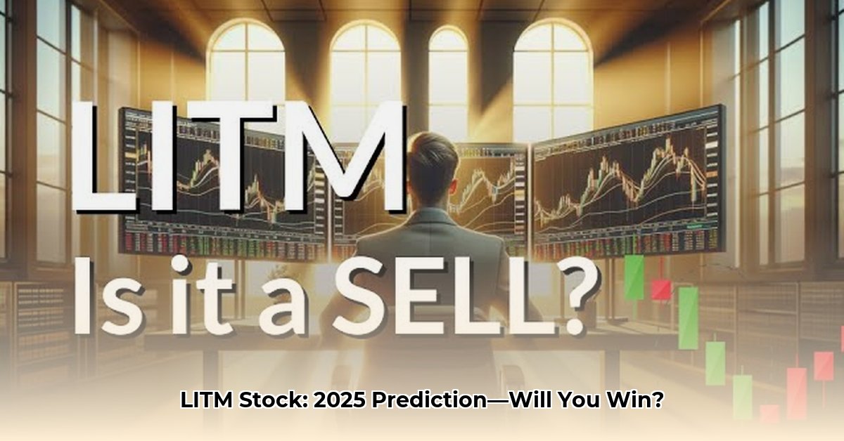 litm-stock-forecast-2025